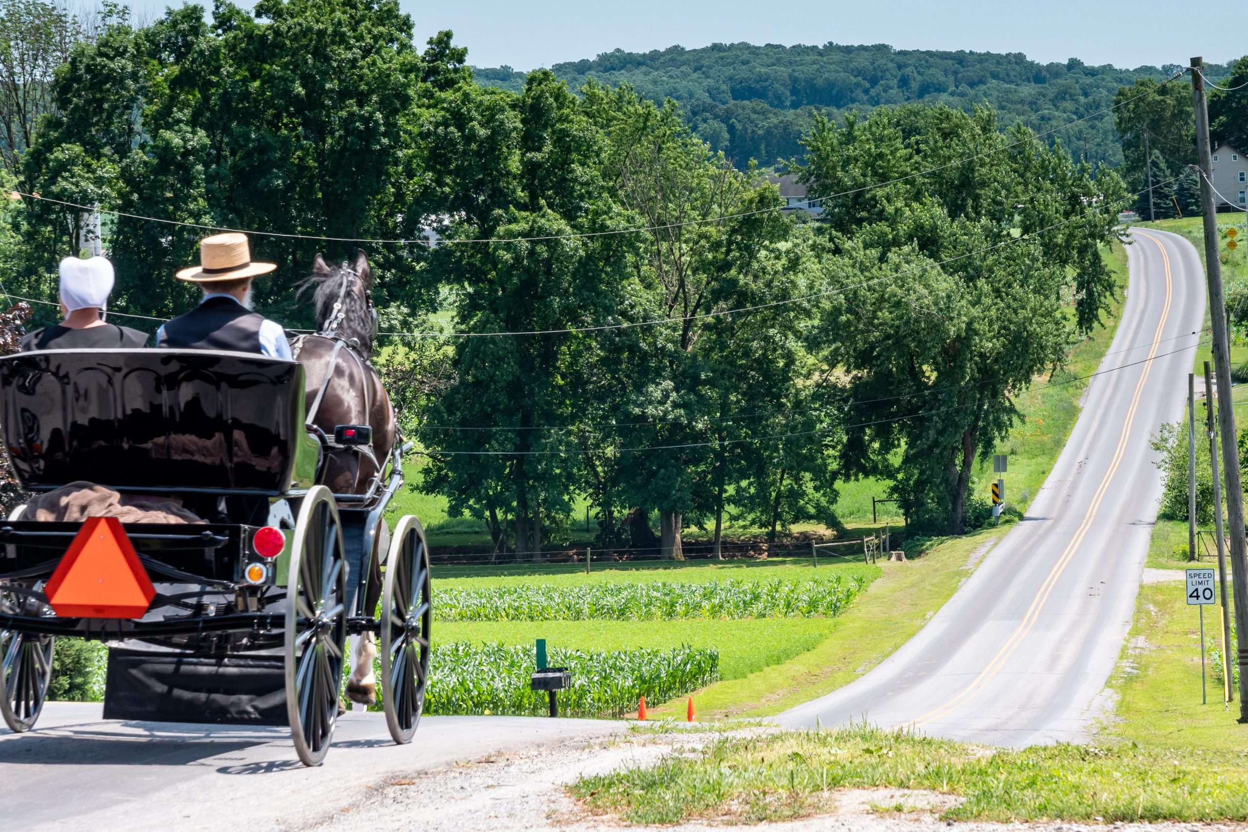 an amish buggy on a country road
